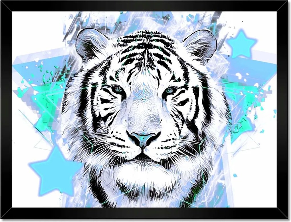 Poszter keretben 40x30 Tigris csillag türkiz