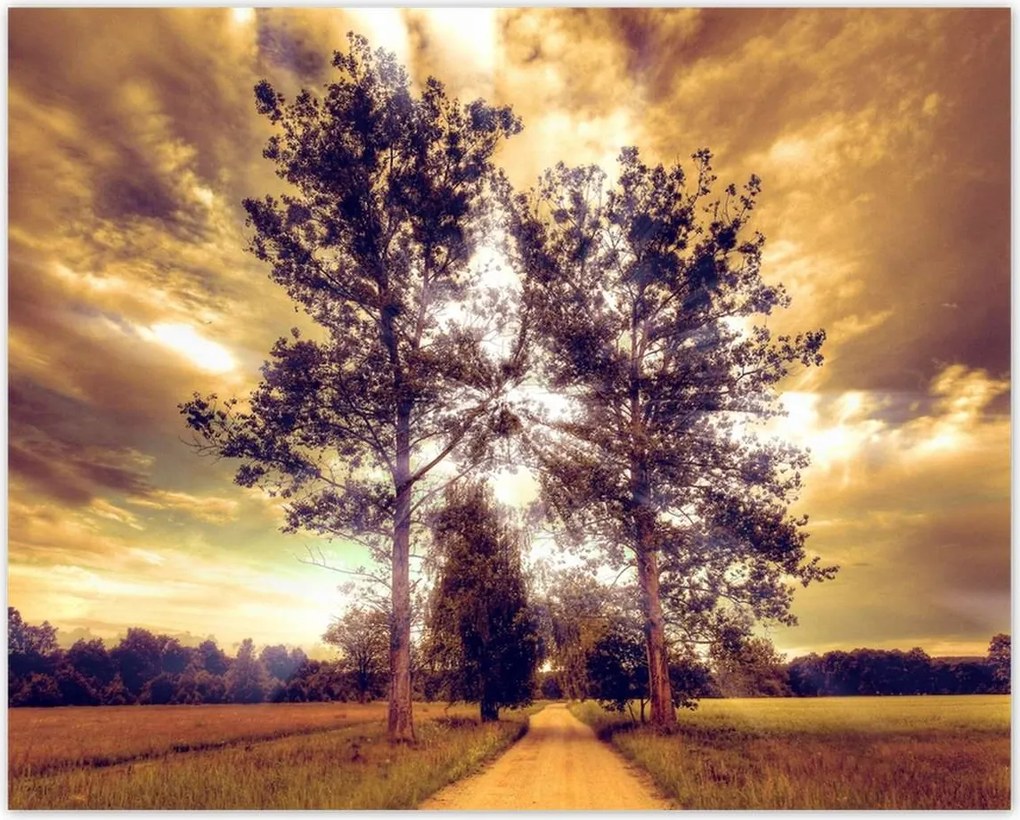 Poszterek 50x40 Vidéki tájkép úttal