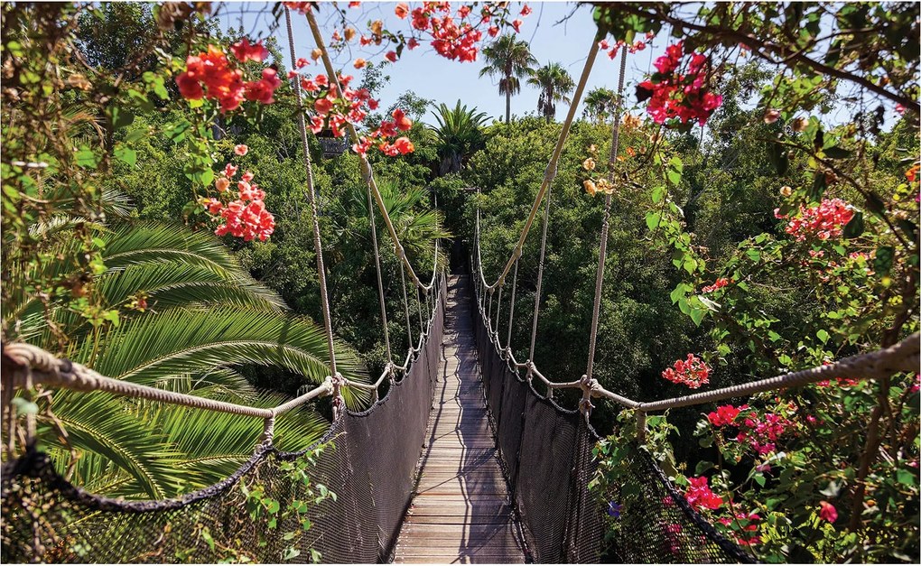 Trópusi vinil híd tapéta 416x254 liana virágok dzsungel egzotikus +ragasztó