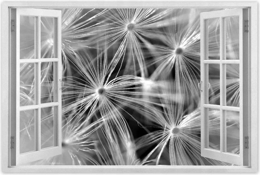 Poszterek 90x60 Pitypang Virág Virágok