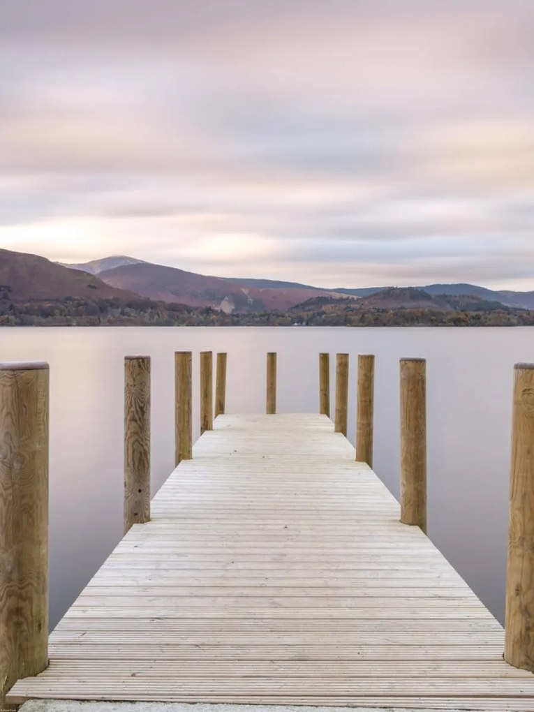 Poszter 60x80cm, Assaf Frank