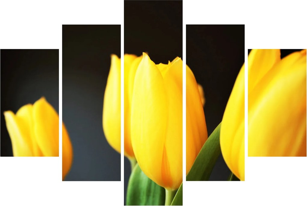 Tulipán képe (150x105 cm)
