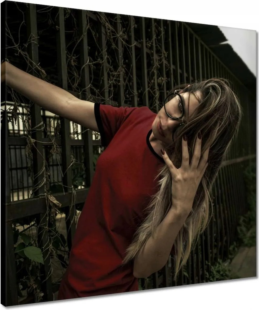 Vászonkép 50x50 Bordó vagy bordó