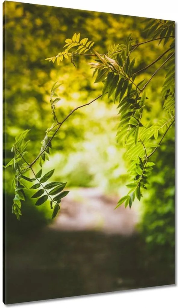 Vászonkép 80x120 Zöld levelek Levelek