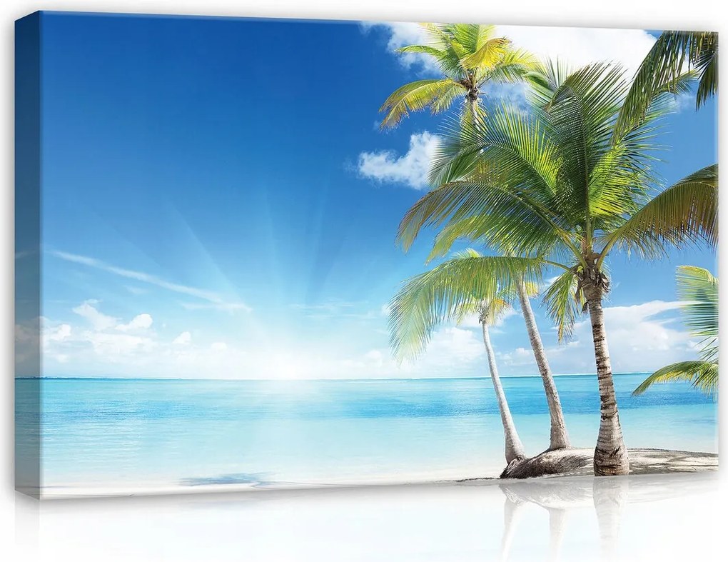 Vászonkép 60x40 Trópusok tengerpart tenger óceán pálmafák nap ég pihenés paradicsom