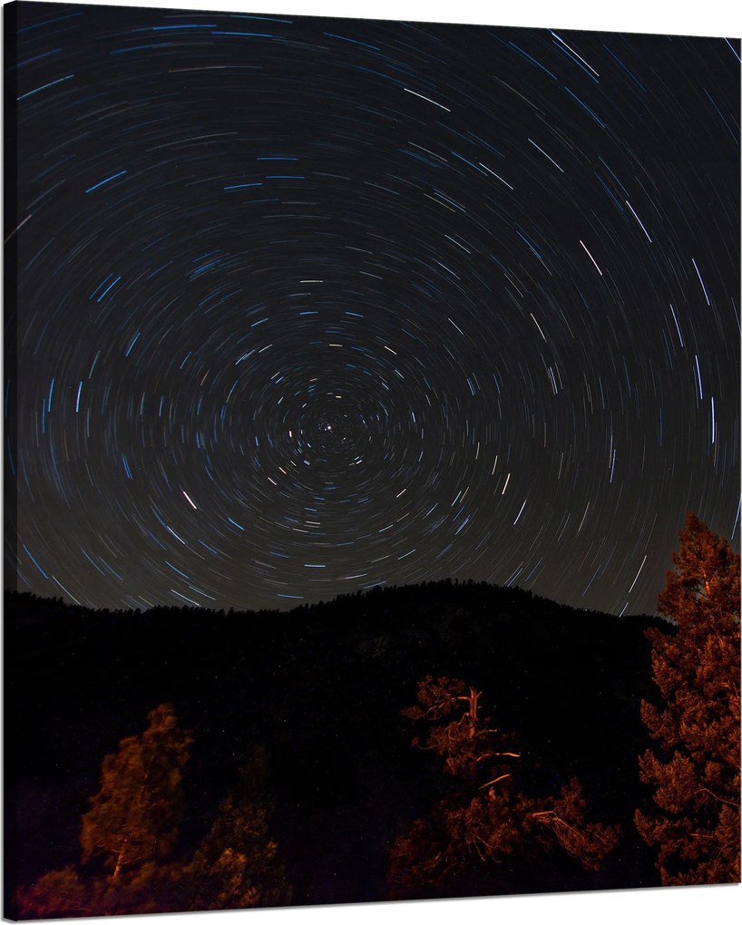 Vászonkép Természet Erdő Éjszaka Hegyek Absztrakt Fák 80x100