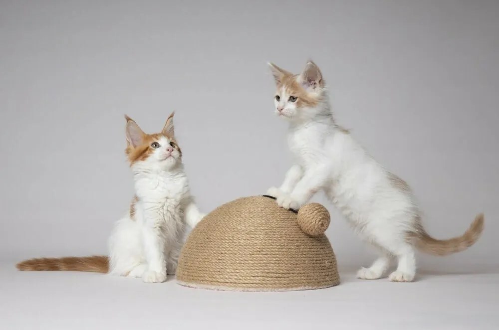 Flamingo Veda macska kaparó, 26 x 14 x 26 cm