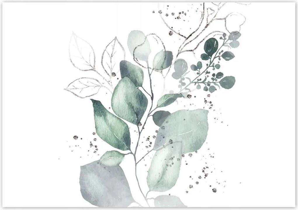 Poszterek 100x70 Eukaliptusz ág