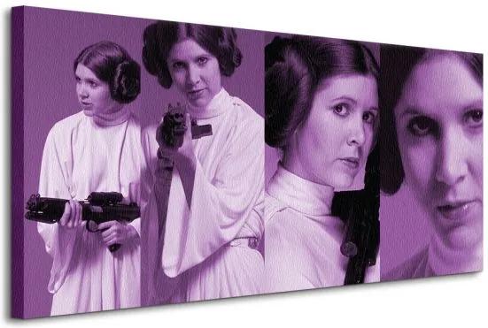 Vászonkép Star Wars (Princess Leia Pose) 100x50cm WDC93061