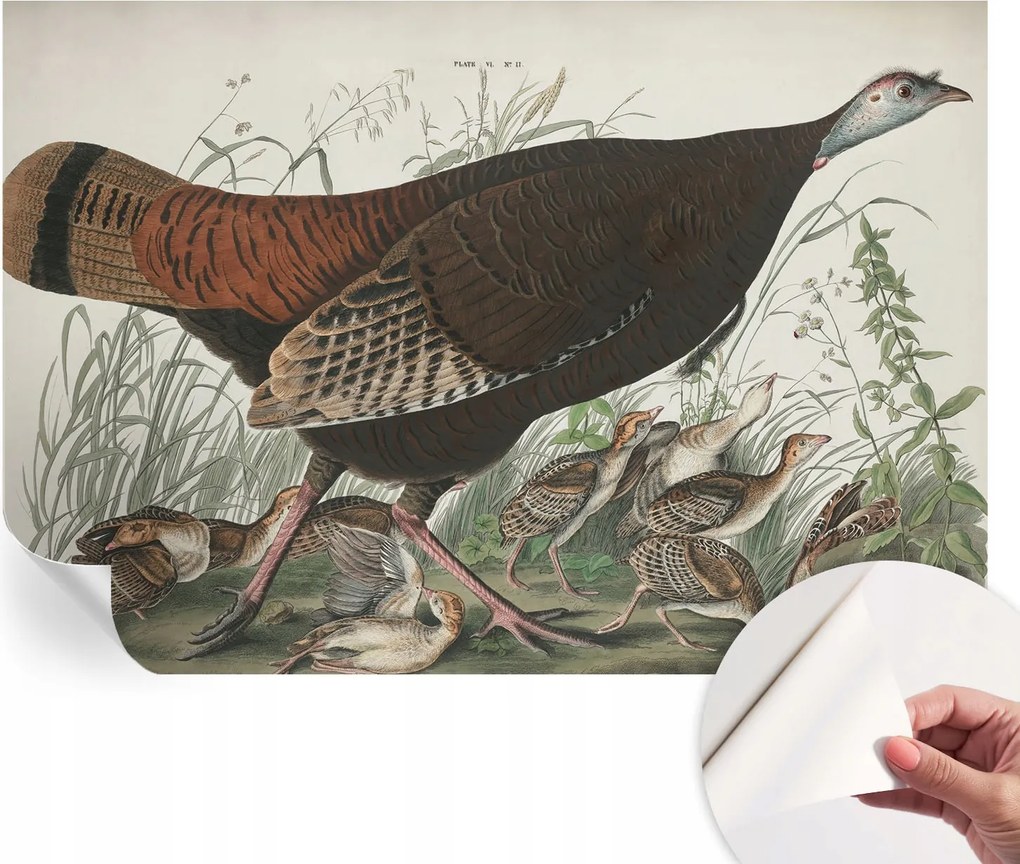 Design fali fotótapéta öntapadós természetes harmónia 152x104