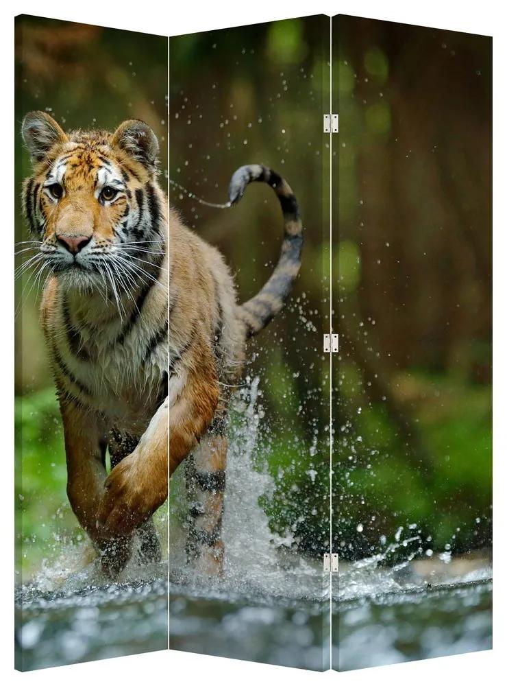 Paraván - Futó tigris (126x170 cm)