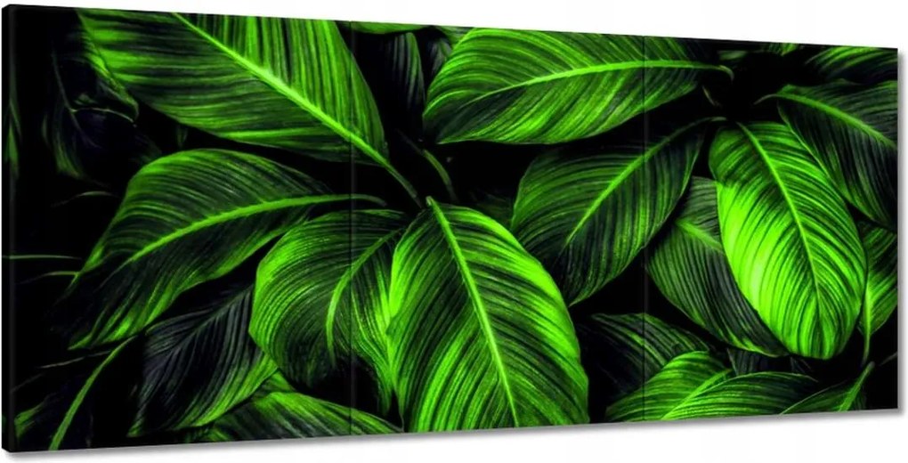 Festmények 210x100 Zöld levelek