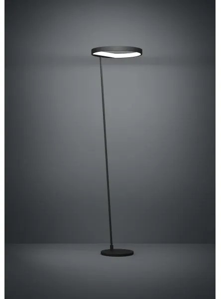 Eglo 390167 - LED Dimmelhető állólámpa CAREDARA LED/23W/230V 3000K