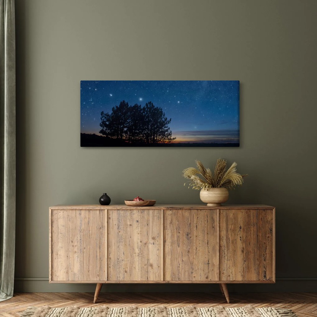 A fák éjjel képe (120x50 cm)