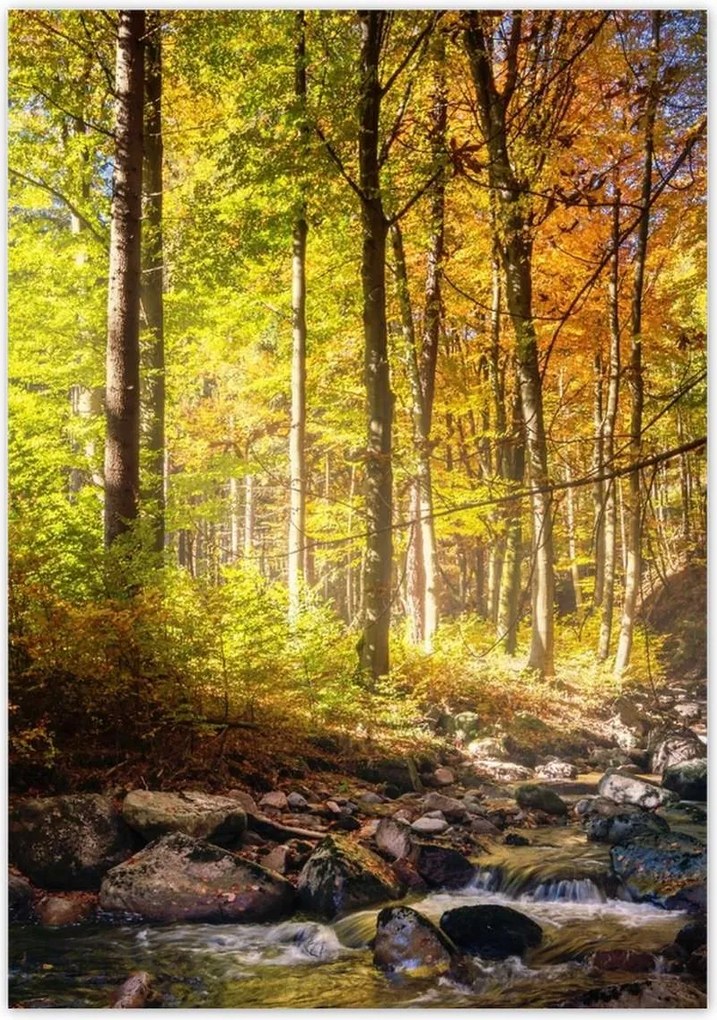 Poszterek 70x100 Tájkép