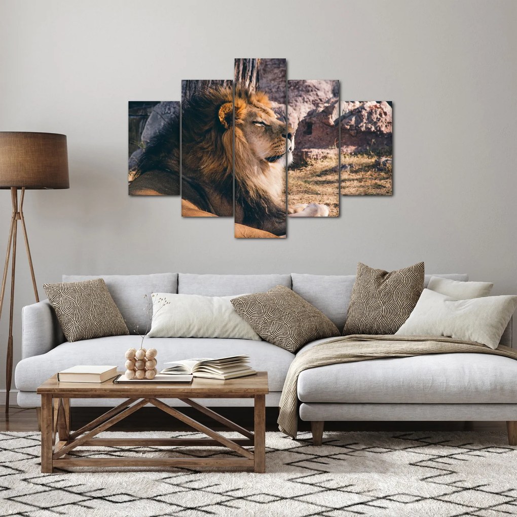 Egy fekvő oroszlán képe (150x105 cm)