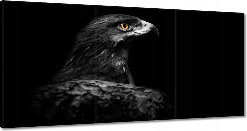 Vászonkép 180x90 Sas fekete alapon