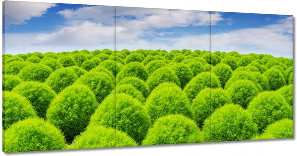 Vászonkép 120x60 Zöld tekintet Völgy