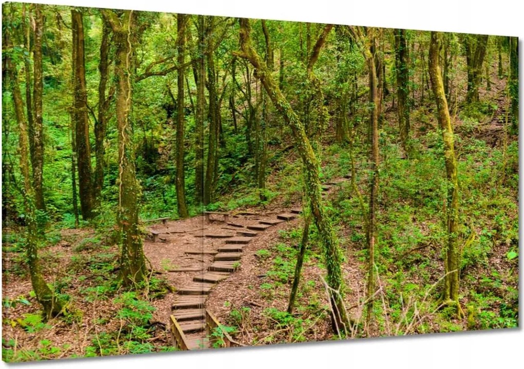 Képek 120x80 Gyalogtúra