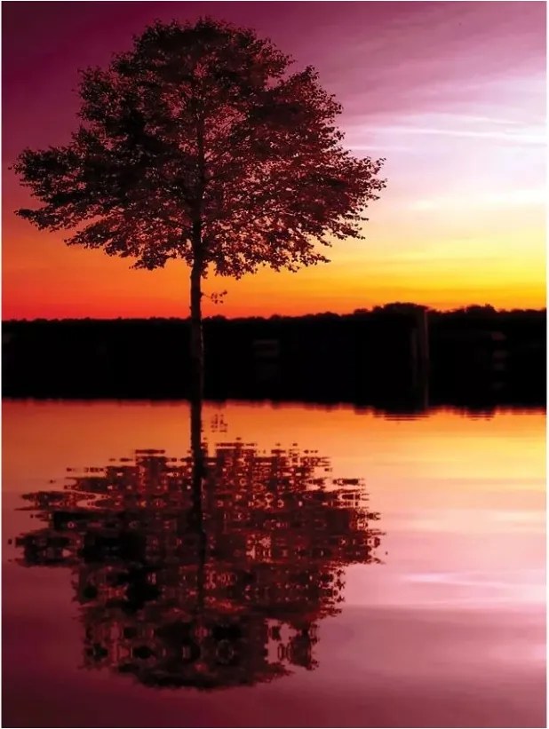 Fotótapéta Fa Nyugat Vinyl víz 184x254 Nyugalom Természet Pihenés +ragasztó