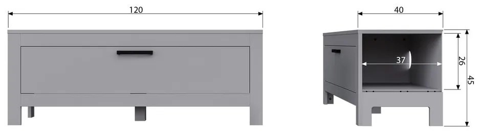 Világosszürke borovi fenyő TV-állvány 120x45x40 cm Bonk – WOOOD