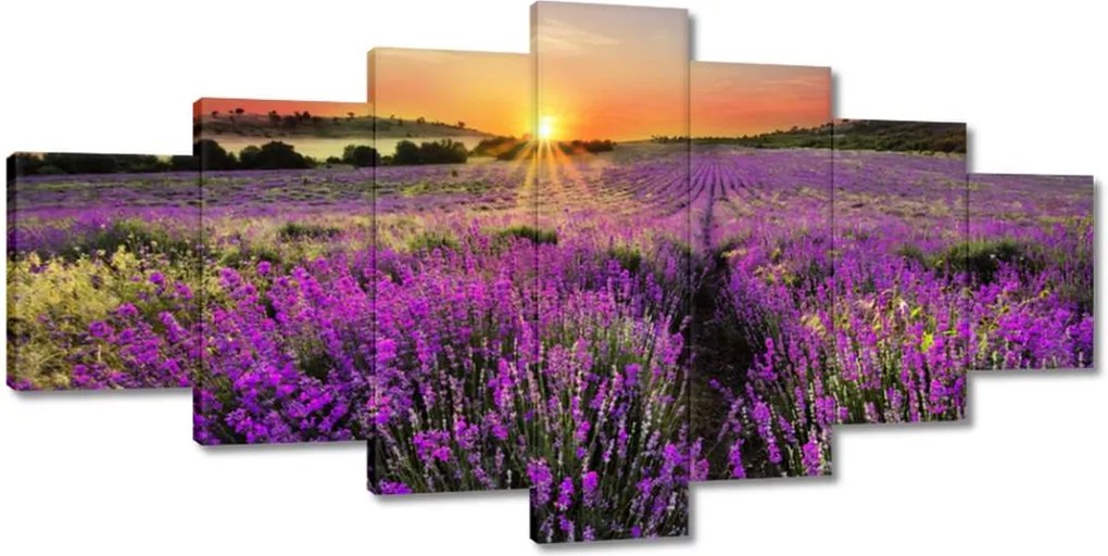 Festmények 210x100 Levendula rét