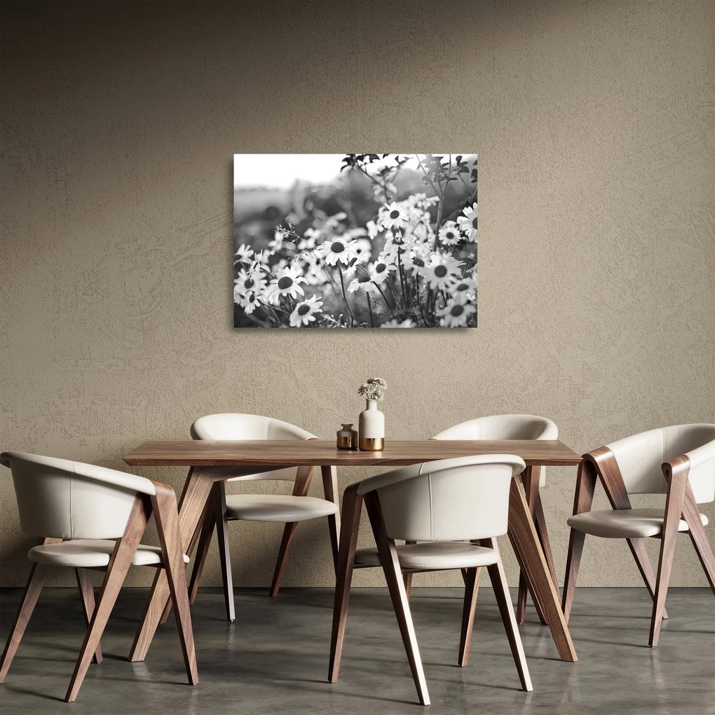 Üveg kép - Százszorszépek (70x50 cm)