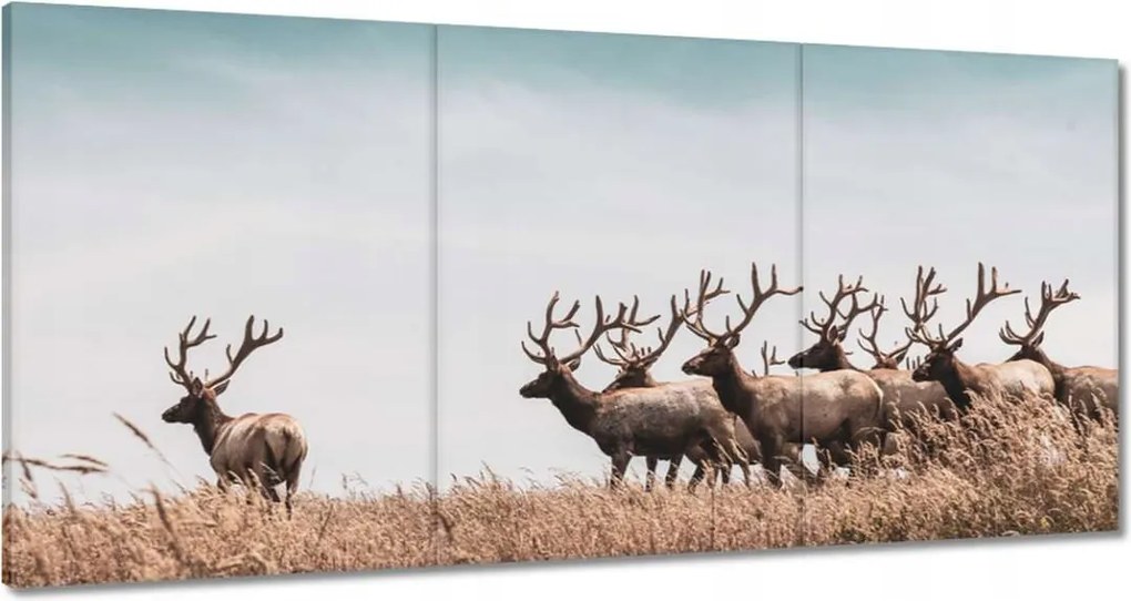 Vászonkép 180x90 Szarvascsorda Szarvak