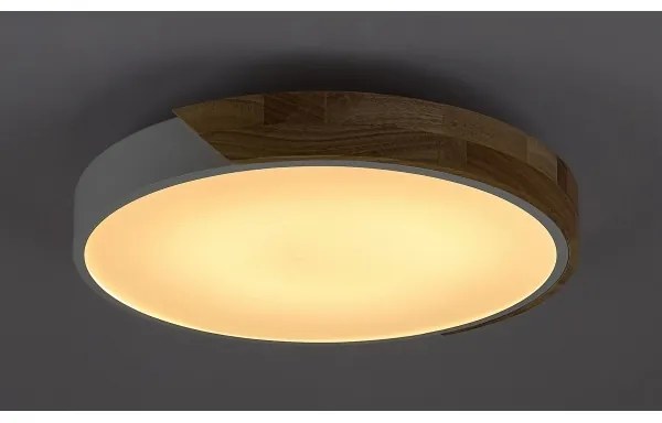 Rabalux 3527 - LED Mennyezeti lámpa MAPLE LED/24W/230V fehér