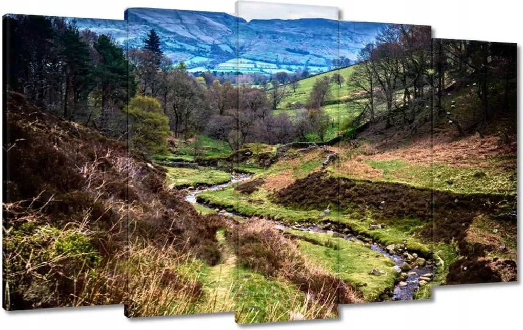 Vászonkép 100x60 Patak a hegyekben