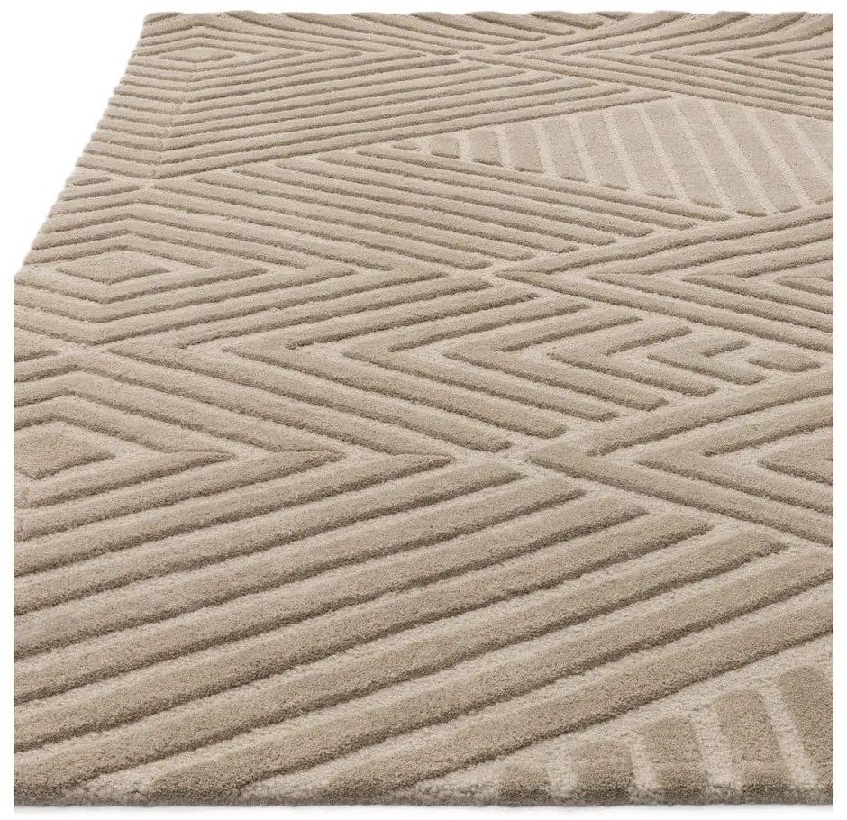 Világosbarna gyapjú szőnyeg 160x230 cm Hague – Asiatic Carpets