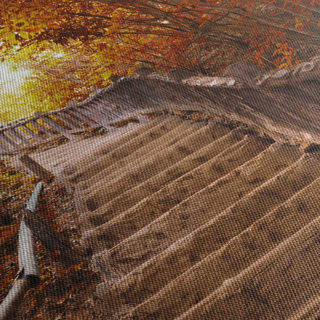 Kép - Lépcsők a természetben ősszel (120x50 cm)