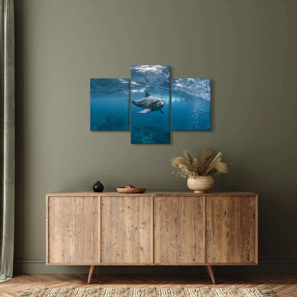 Kép - Delfin a felszín alatt (90x60 cm)