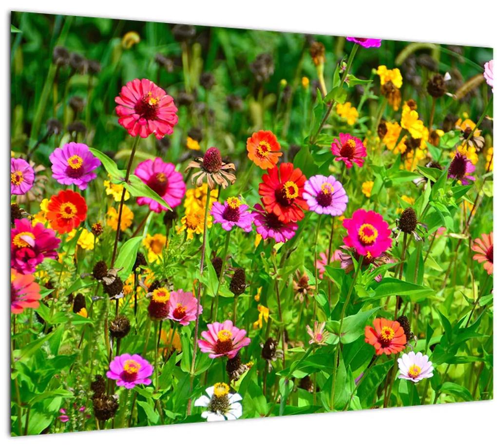 Réti virágok képe (70x50 cm)