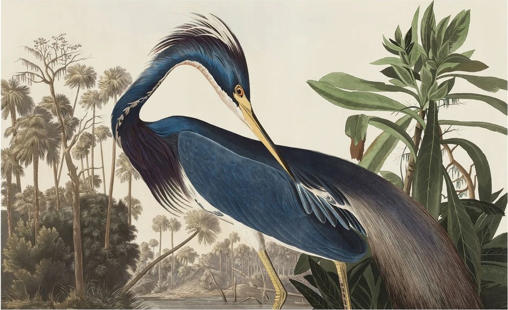 Dekoratív Fotótapéta Furnér Flizelin Egzotikus természet 416x254