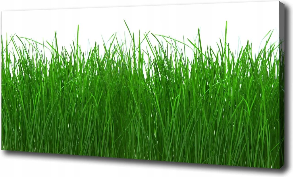 Fotótapéta nappaliba Fű 100x70 cm