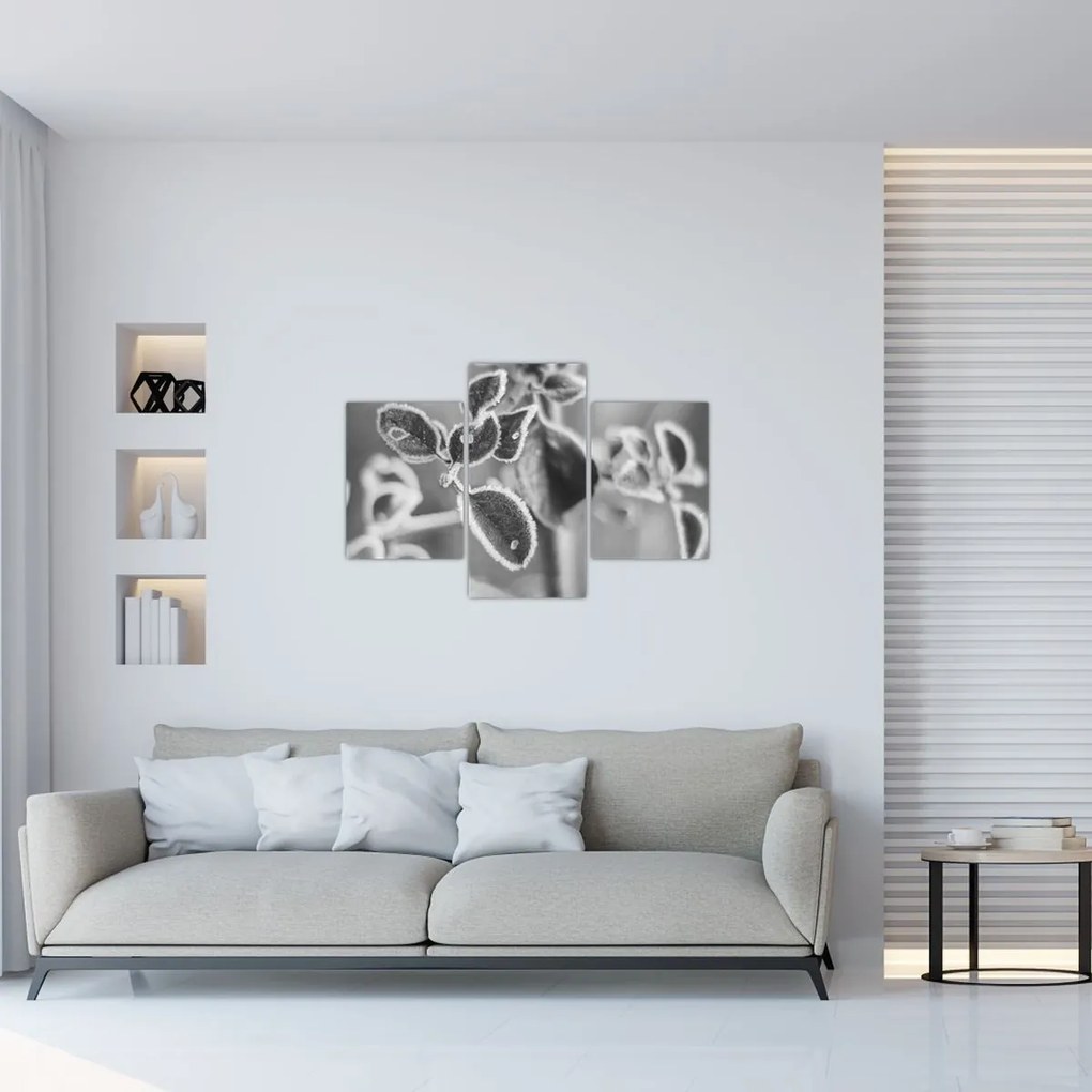 Kép - Őszi természet (90x60 cm)