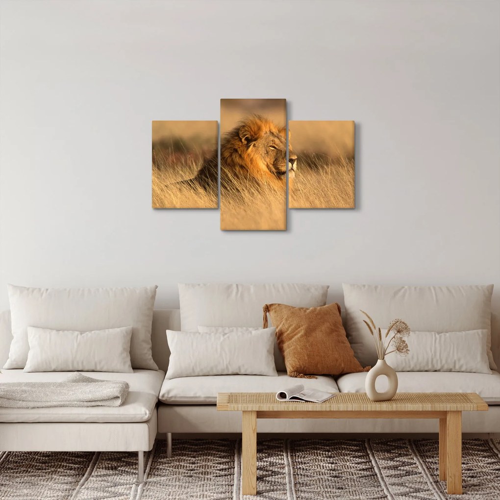Kép - Etosha Nemzeti Park (90x60 cm)