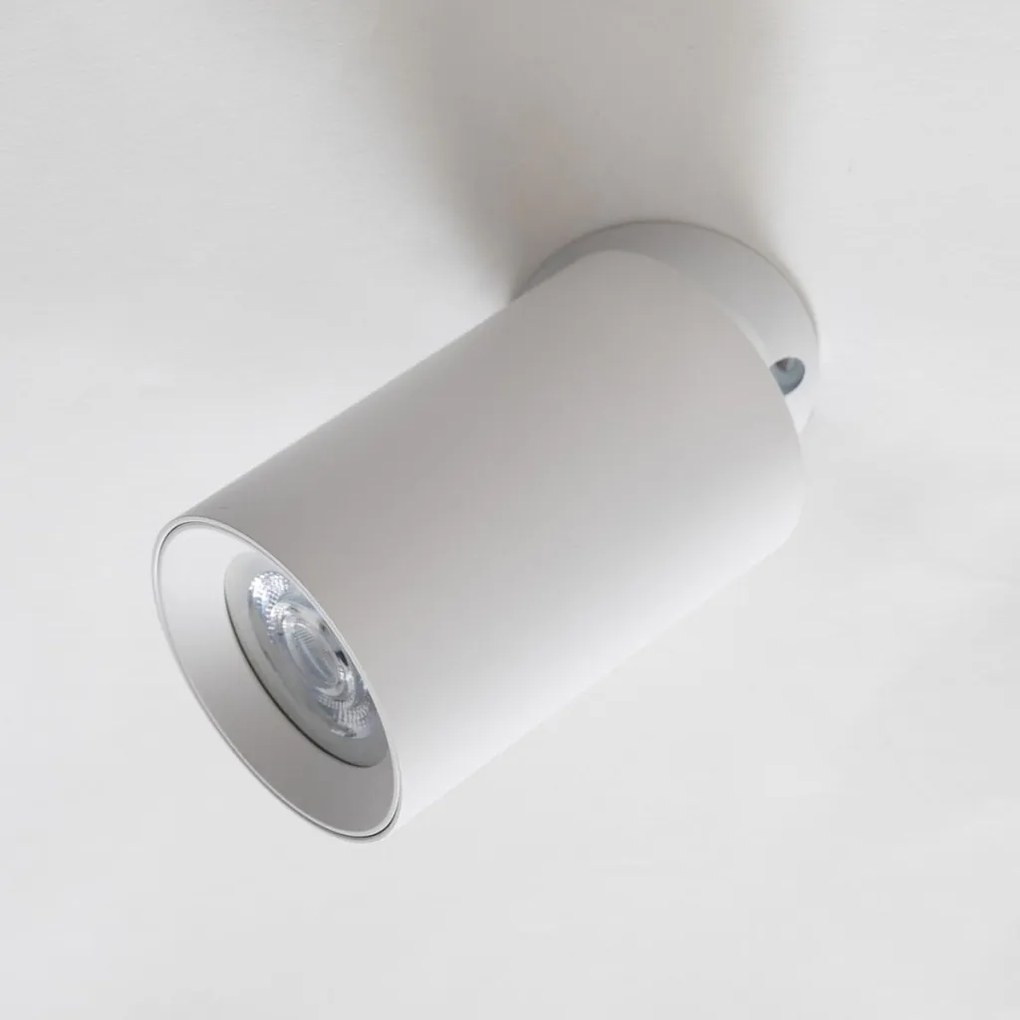 Zuma Line TORE TLS006-WH mennyezeti lámpa 1x35W/GU10 IP20