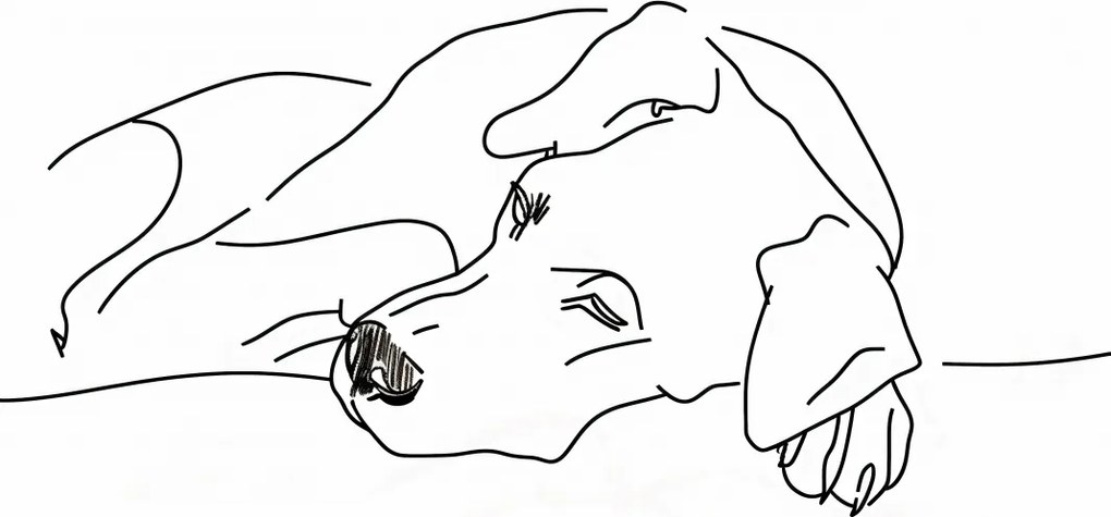 Poszter 67,5x100cm Kutya pihenés