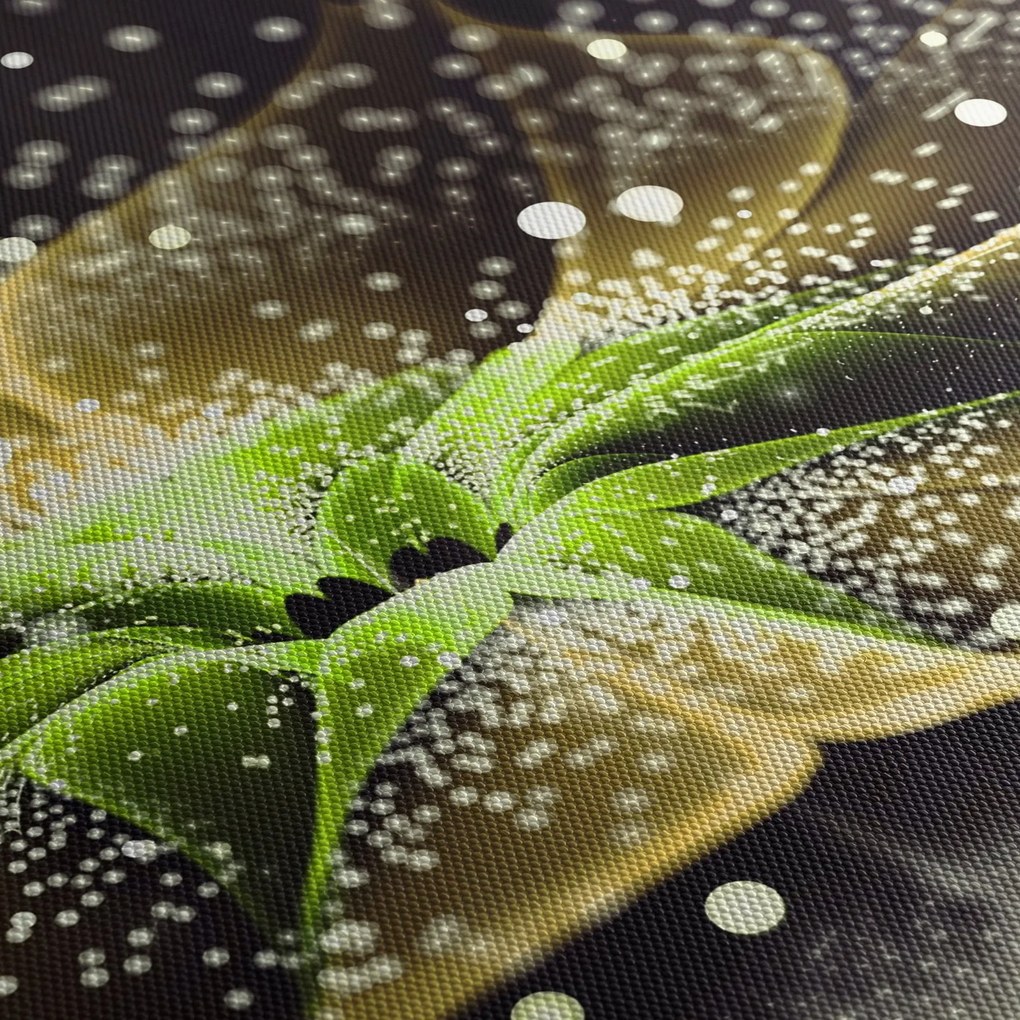 Kép - virág részlete (70x50 cm)