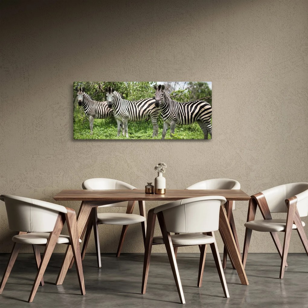 Zebrák képe (120x50 cm)