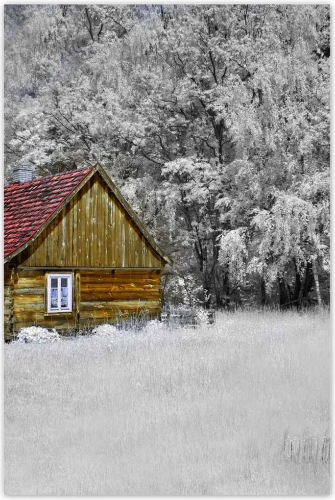 Poszterek 80x120 Fa ház Bale