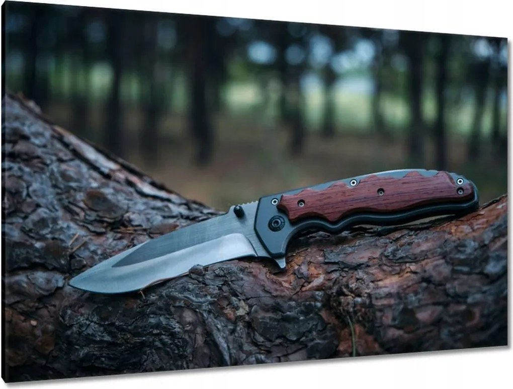 Képek 120x80 Kés fekszik egy fatörzsön