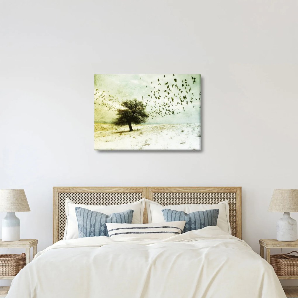 Kép - Festett madárállomány (70x50 cm)