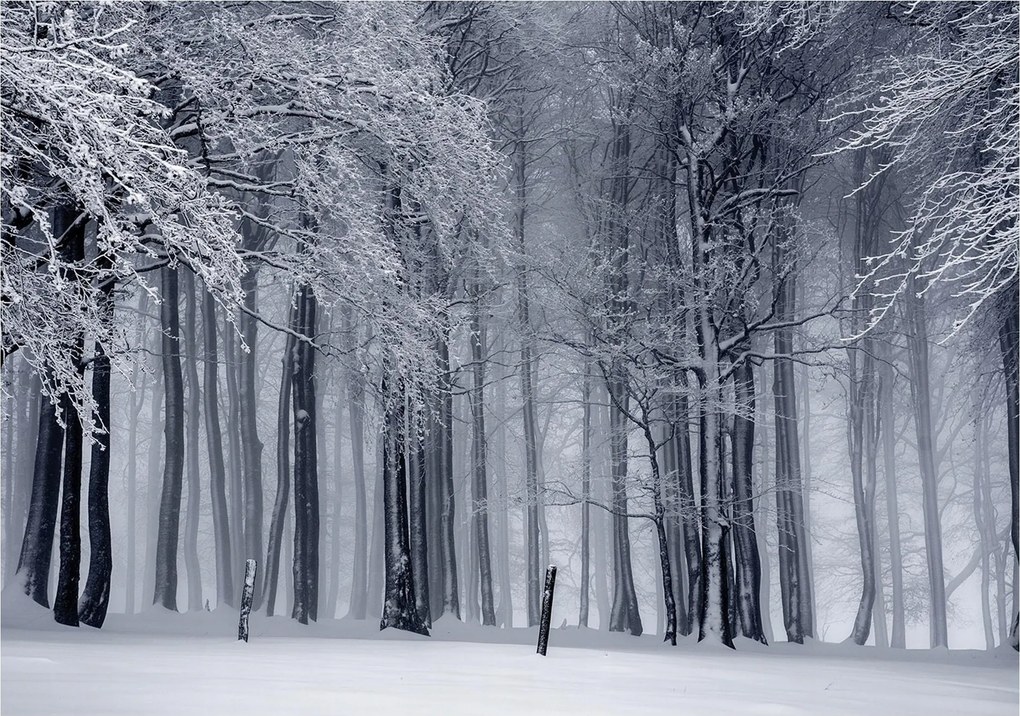 Normál Fotótapéta 416 x 254 Vexxxl