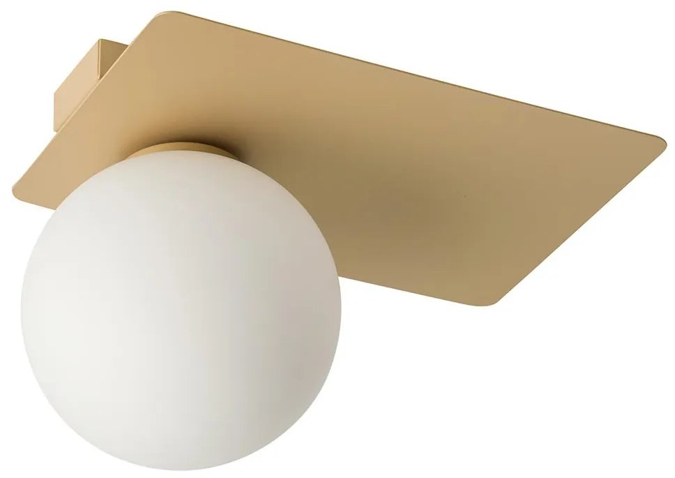 Mennyezeti lámpa ARGON 1xG9/12W/230V arany