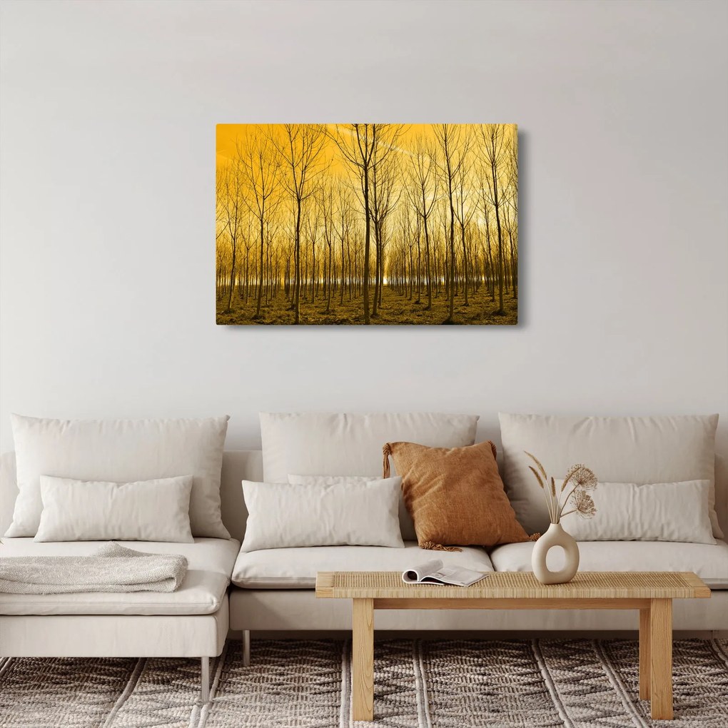 Kép - Faültetvény (90x60 cm)