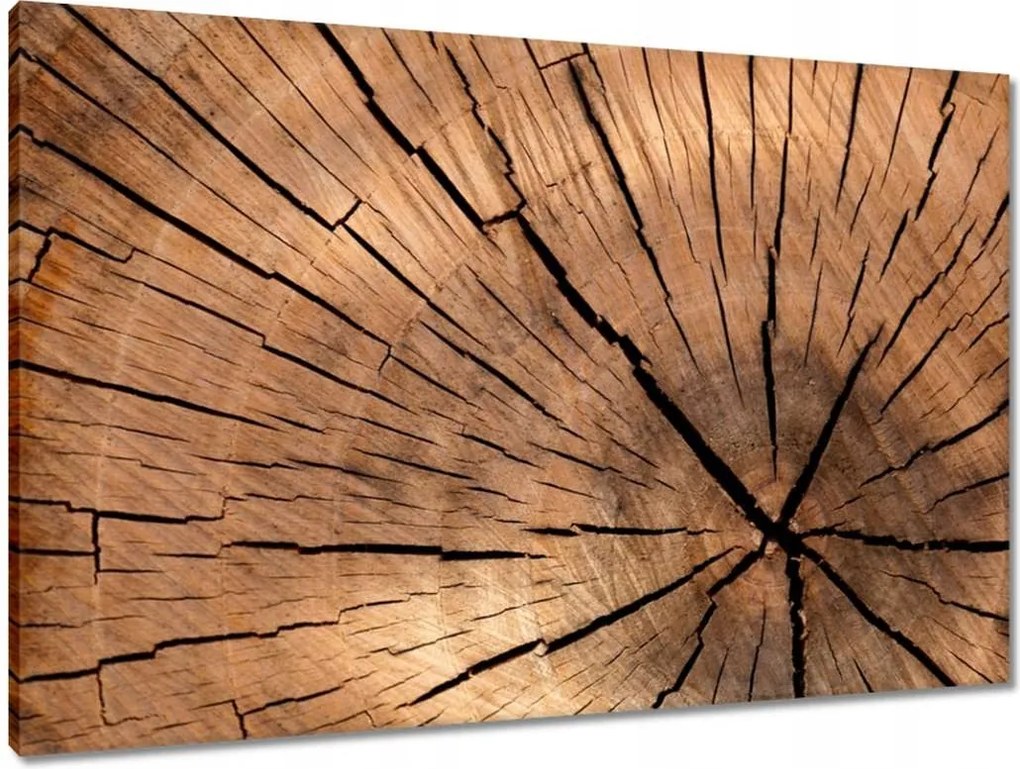 Vászonkép 90x60 Befőttesüvegek