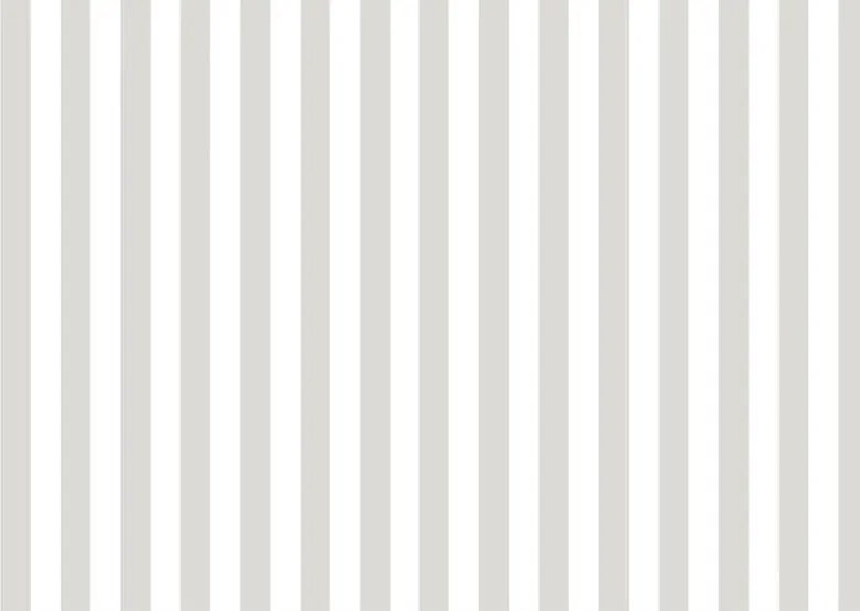 Parato Cristiana Masi Top Stripes Riga 7 fehér-szürke csíkos vlies tapéta – 38451